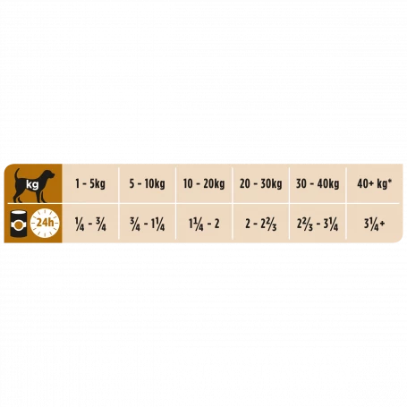 PURINA PRO PLAN Ppvd Canine NF Renal Function Boîte 3 PURINA PRO PLAN Ppvd Canine NF Renal Function Boîte – Image 3