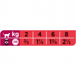 PURINA PRO PLAN Ppvd Feline DM Stox Diabetes Boîte -nourriture pour chien boutique ppvd feline dm stox diabetes boite 1