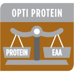 PURINA PRO PLAN Ppvd Feline NF Salmon Sachet Repas -nourriture pour chien boutique ppvd feline nf salmon sachet repas 6