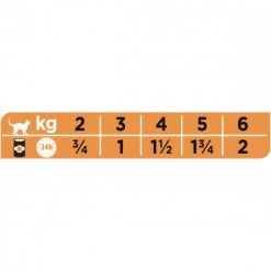 PURINA PRO PLAN Ppvd Feline UR Stox Urinary Turkey Boîte -nourriture pour chien boutique ppvd feline ur stox urinary turkey boite 1