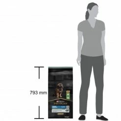 PURINA PRO PLAN Dog Large Robust Puppy Sensit. Digestion Optidigest Agneau 12 PURINA PRO PLAN Dog Large Robust Puppy Sensit. Digestion Optidigest Agneau -nourriture pour chien boutique purina dog large robust puppy sensit digestion optidigest agneau 4