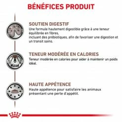 ROYAL CANIN Cat Gastro Intestinal Moderate Calorie Sachet Repas -nourriture pour chien boutique royal canin cat gastro intestinal moderate calorie sachet repas 2