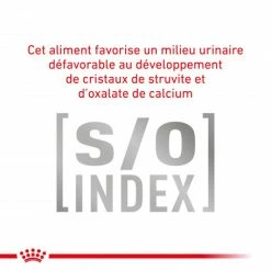ROYAL CANIN Cat Gastro Intestinal Moderate Calorie Sachet Repas -nourriture pour chien boutique royal canin cat gastro intestinal moderate calorie sachet repas 3