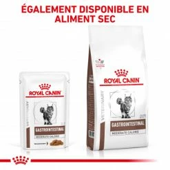ROYAL CANIN Cat Gastro Intestinal Moderate Calorie Sachet Repas -nourriture pour chien boutique royal canin cat gastro intestinal moderate calorie sachet repas 6