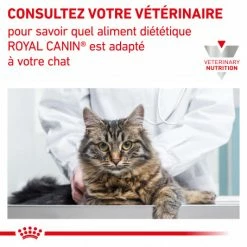 ROYAL CANIN Cat Gastro Intestinal Moderate Calorie Sachet Repas -nourriture pour chien boutique royal canin cat gastro intestinal moderate calorie sachet repas 7