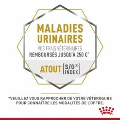 ROYAL CANIN Cat Gastro Intestinal Moderate Calorie Sachet Repas -nourriture pour chien boutique royal canin cat gastro intestinal moderate calorie sachet repas 8