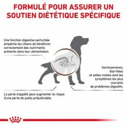 ROYAL CANIN Dog Gastro Intestinal -nourriture pour chien boutique royal canin dog gastro intestinal 1