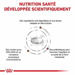 ROYAL CANIN Dog Gastro Intestinal -nourriture pour chien boutique royal canin dog gastro intestinal 2