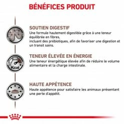 ROYAL CANIN Dog Gastro Intestinal -nourriture pour chien boutique royal canin dog gastro intestinal 3