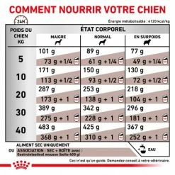 ROYAL CANIN Dog Gastro Intestinal -nourriture pour chien boutique royal canin dog gastro intestinal 4