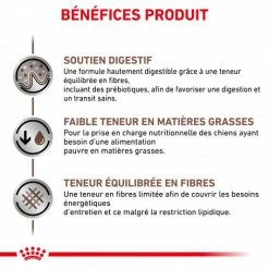 ROYAL CANIN Dog Gastro Intestinal Low Fat -nourriture pour chien boutique royal canin dog gastro intestinal low fat 3