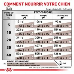 ROYAL CANIN Dog Gastro Intestinal Low Fat -nourriture pour chien boutique royal canin dog gastro intestinal low fat 4