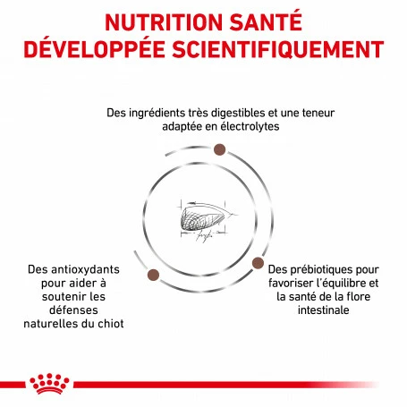 ROYAL CANIN Dog Gastro Intestinal Puppy 3 ROYAL CANIN Dog Gastro Intestinal Puppy – Image 3
