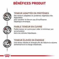 ROYAL CANIN Dog Hepatic -nourriture pour chien boutique royal canin dog hepatic 3