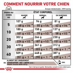 ROYAL CANIN Dog Hepatic -nourriture pour chien boutique royal canin dog hepatic 4