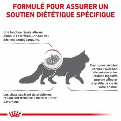 ROYAL CANIN Veterinary Health Nutrition Cat Renal -nourriture pour chien boutique royal canin veterinary diet cat renal 1
