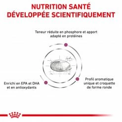ROYAL CANIN Veterinary Health Nutrition Cat Renal -nourriture pour chien boutique royal canin veterinary diet cat renal 2
