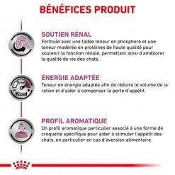 ROYAL CANIN Veterinary Health Nutrition Cat Renal -nourriture pour chien boutique royal canin veterinary diet cat renal 3