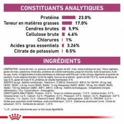 ROYAL CANIN Veterinary Health Nutrition Cat Renal -nourriture pour chien boutique royal canin veterinary diet cat renal 5
