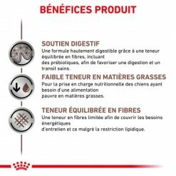 ROYAL CANIN Dog Gastro Intestinal Low Fat Boîte -nourriture pour chien boutique royal canin veterinary diet dog gastro intestinal low fat boite 2
