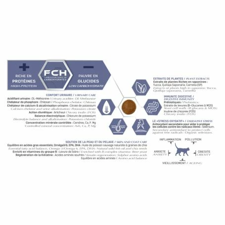 Tonivet Chat Senior 2 Tonivet Chat Senior – Image 2