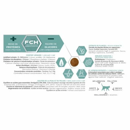 Tonivet Chaton 3 Tonivet Chaton – Image 3