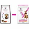 HILL'S Pet Nutrition Vet Essentials Canine Adult Healthy Digestive Biome Medium