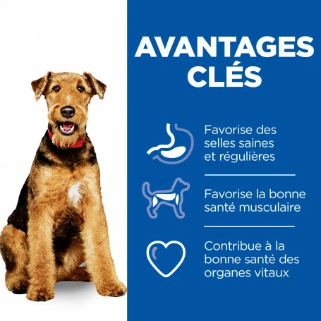 HILL'S Pet Nutrition Vet Essentials Canine Adult Healthy Digestive Biome Medium 5 HILL'S Pet Nutrition Vet Essentials Canine Adult Healthy Digestive Biome Medium – Image 5