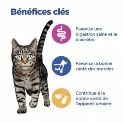 HILL'S Pet Nutrition Vet Essentials Chat Multi-Benefit Adult + Poulet -nourriture pour chien boutique vet essentials chat multi benefit adult 1 poulet 3