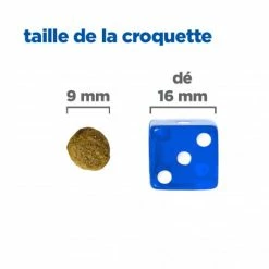 HILL'S Pet Nutrition Vet Essentials Chat Multi-Benefit Adult + Poulet -nourriture pour chien boutique vet essentials chat multi benefit adult 1 poulet 4