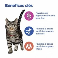 HILL'S Pet Nutrition Vet Essentials Chat Multi-Benefit Adulte Poulet Sachet Repas -nourriture pour chien boutique vet essentials chat multi benefit adult 1 poulet sachet repas 2