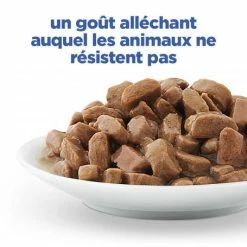 HILL'S Pet Nutrition Vet Essentials Chat Multi-Benefit Adult 1+ Saumon Sachet Repas -nourriture pour chien boutique vet essentials chat multi benefit adult 1 saumon sachet re 5
