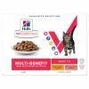 HILL'S Pet Nutrition Vet Essentials Chat Multi-Benefit Adult Pack Mixte Sachet Repas