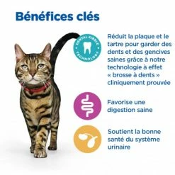 HILL'S Pet Nutrition Vet Essentials Chat Multi-Benefit + Dental Adult 1+ Poulet -nourriture pour chien boutique vet essentials chat multi benefit dental adult 1 poulet 5