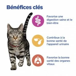 HILL'S Pet Nutrition Vet Essentials Chat Multi-Benefit Mature Adulte 7+ Poulet Sachet Repas -nourriture pour chien boutique vet essentials chat multi benefit matur adulte 7 poulet sachet repas 2