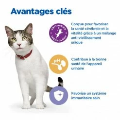 HILL'S Pet Nutrition Vet Essentials Chat Multi-Benefit + Senior Health Poulet -nourriture pour chien boutique vet essentials chat multi benefit senior health poulet 2