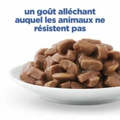 HILL'S Pet Nutrition Vet Essentials Chat Multi-Benefit + Weight Adult Poulet Sachets Repas 11 HILL'S Pet Nutrition Vet Essentials Chat Multi-Benefit + Weight Adult Poulet Sachets Repas -nourriture pour chien boutique vet essentials chat multi benefit weight adult poulet sachets repas 3