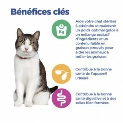 HILL'S Pet Nutrition Vet Essentials Chat Multi-Benefit + Weight Adult Poulet Sachets Repas 15 HILL'S Pet Nutrition Vet Essentials Chat Multi-Benefit + Weight Adult Poulet Sachets Repas -nourriture pour chien boutique vet essentials chat multi benefit weight adult poulet sachets repas 7