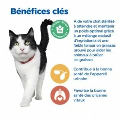 HILL'S Pet Nutrition Vet Essentials Chat Multi-Benefit + Weight Mature 7+ Poulet 10 HILL'S Pet Nutrition Vet Essentials Chat Multi-Benefit + Weight Mature 7+ Poulet -nourriture pour chien boutique vet essentials chat multi benefit weight mature adult7 po 3