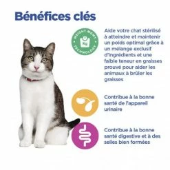 HILL'S Pet Nutrition Vet Essentials Chat Multi-Benefit + Weight Young Adult Thon -nourriture pour chien boutique vet essentials chat multi benefit weight young adult thon 4