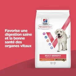 HILL'S Pet Nutrition Vet Essentials Chien Multi-Benefit Adult + Large Breed Agneau & Riz -nourriture pour chien boutique vet essentials chien multi benefit adult 1 l breed agnri 1