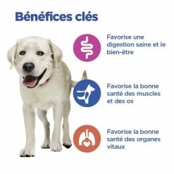 HILL'S Pet Nutrition Vet Essentials Chien Multi-Benefit Adult + Large Breed Agneau & Riz -nourriture pour chien boutique vet essentials chien multi benefit adult 1 l breed agnri 3