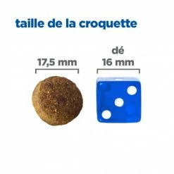 HILL'S Pet Nutrition Vet Essentials Chien Multi-Benefit Adult + Large Breed Agneau & Riz -nourriture pour chien boutique vet essentials chien multi benefit adult 1 l breed agnri 4