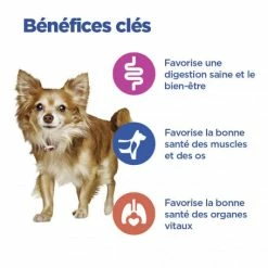HILL'S Pet Nutrition Vet Essentials Chien Multi-Benefit Adult + Small & Mini Agneau & Riz 9 HILL'S Pet Nutrition Vet Essentials Chien Multi-Benefit Adult + Small & Mini Agneau & Riz -nourriture pour chien boutique vet essentials chien multi benefit adult 1 smallmini ar 2
