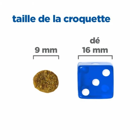 HILL'S Pet Nutrition Vet Essentials Chien Multi-Benefit Adult + Small & Mini Agneau & Riz 5 HILL'S Pet Nutrition Vet Essentials Chien Multi-Benefit Adult + Small & Mini Agneau & Riz – Image 5