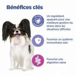 HILL'S Pet Nutrition Vet Essentials Chien Multi-Benefit + Calm Adult 1+ Small & Mini -nourriture pour chien boutique vet essentials chien multi benefit calm adult 1 smm po 3