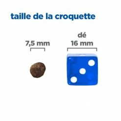 HILL'S Pet Nutrition Vet Essentials Chien Multi-Benefit + Calm Adult 1+ Small & Mini -nourriture pour chien boutique vet essentials chien multi benefit calm adult 1 smm po 4