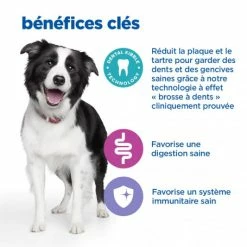 HILL'S Pet Nutrition Vet Essentials Chien Multi-Benefit + Dental Adulte + Medium & Large Poulet -nourriture pour chien boutique vet essentials chien multi benefit dental ad 1 medla po 4