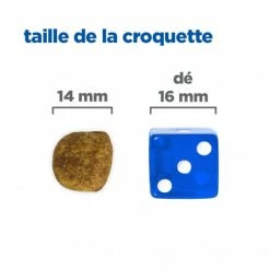 HILL'S Pet Nutrition Vet Essentials Chien Multi-Benefit + Dental Adulte + Medium & Large Poulet -nourriture pour chien boutique vet essentials chien multi benefit dental ad 1 medla po 5