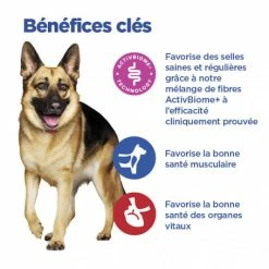 HILL'S Pet Nutrition Vet Essentials Chien Multi-Benefit + Digestion Adulte+ Large Breed -nourriture pour chien boutique vet essentials chien multi benefit digestion ad1 lar br sac de 14 kg 5